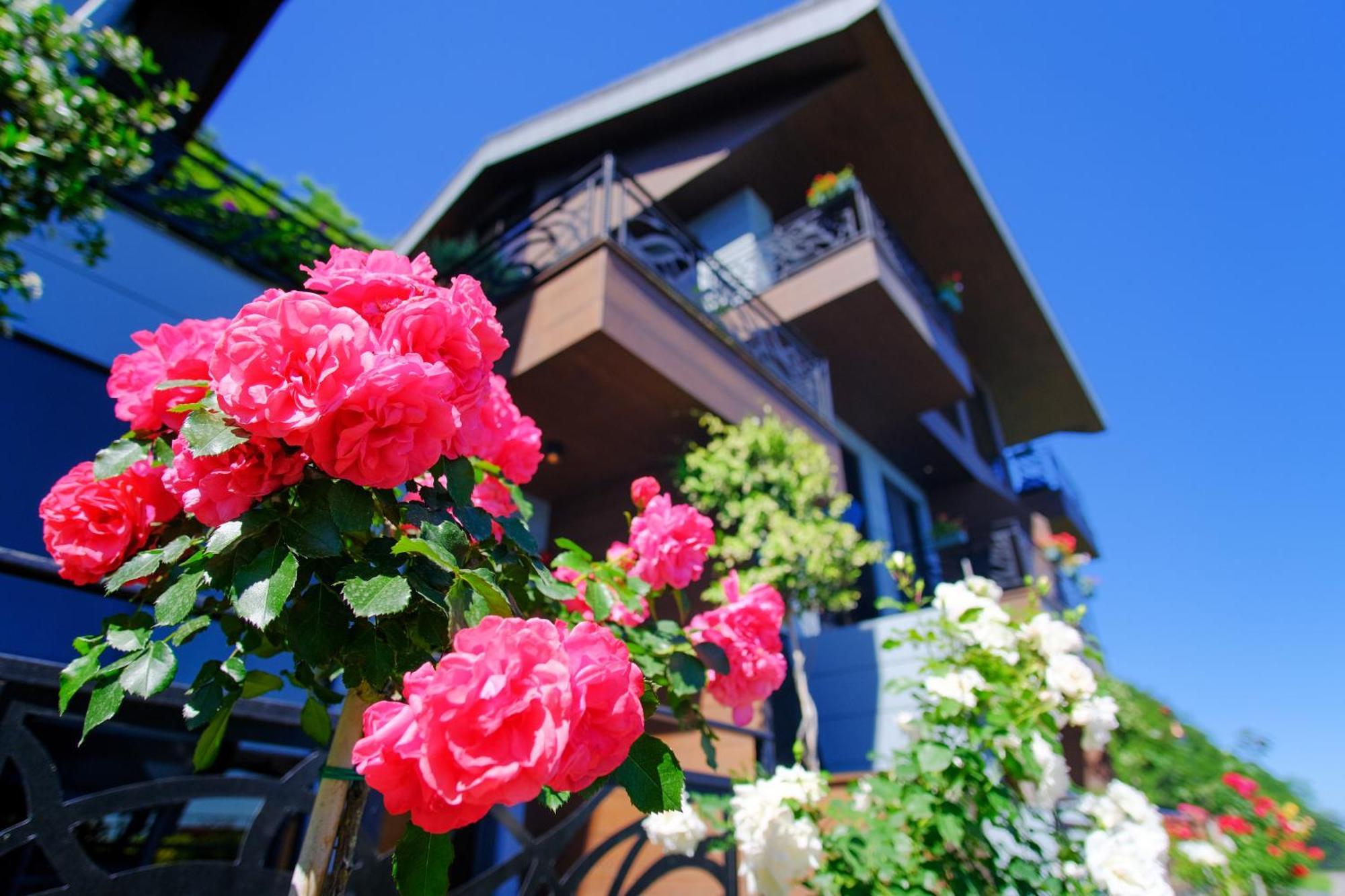 Peerless Villas Hotel Trabzon Eksteriør bilde